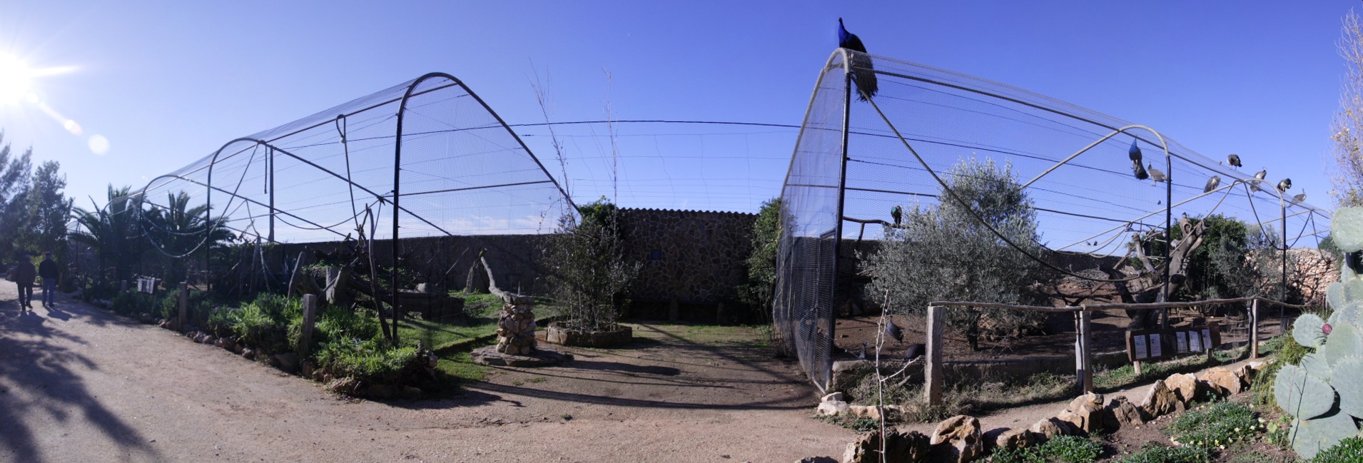 [1] 211208 logos zoo, jpg, 21 images, IMG_4469 - IMG_4489 - 1910x649 - SCUL-Smartblend.jpg - cages Volatiles